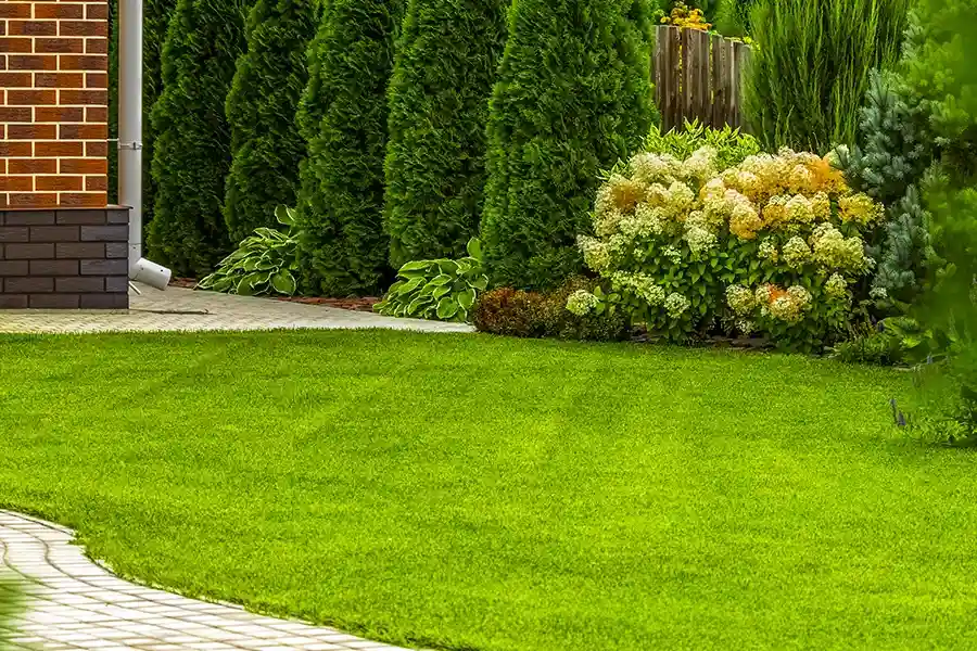 Excellent Lawn Care Services Panama City, FL Excellent Lawn Care Services Panama City, FL