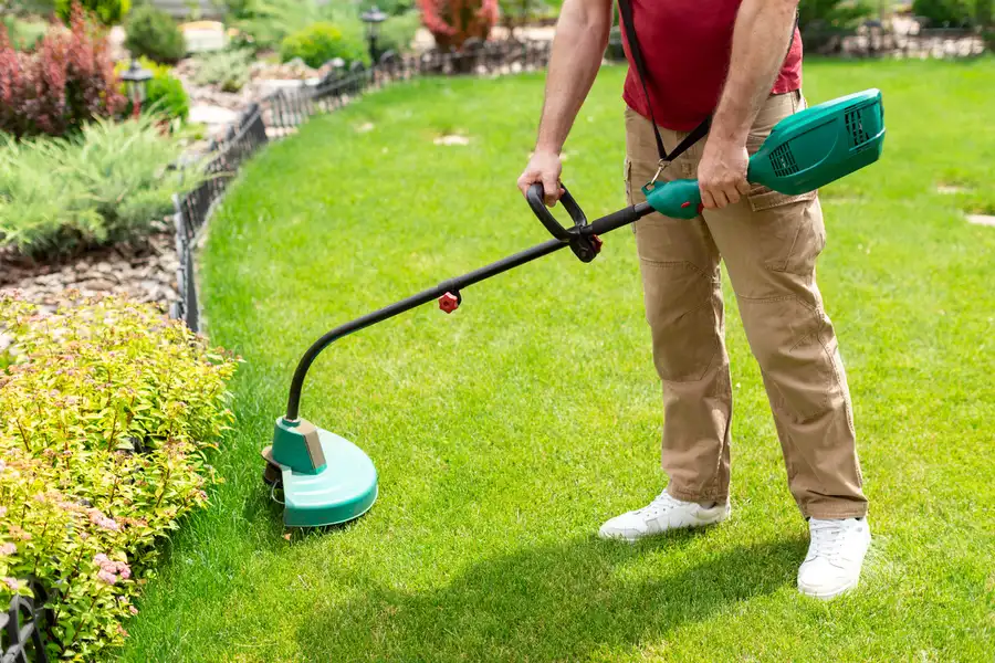Expert Lawn Care Services Panama City, FL Expert Lawn Care Services Panama City, FL