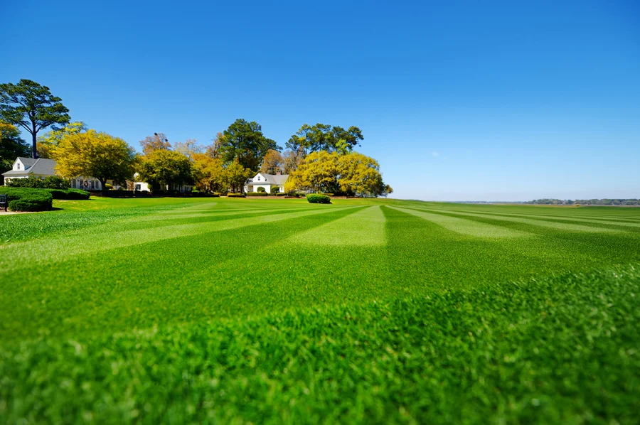 How Lawn Care Services Keep Your Yard Healthy Year-round in Panama City, FL How Lawn Care Services Keep Your Yard Healthy Year-round in Panama City, FL