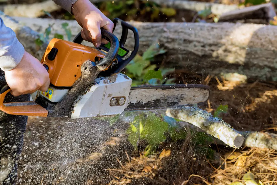 Premium Tree Services Panama City, FL Premium Tree Services Panama City, FL